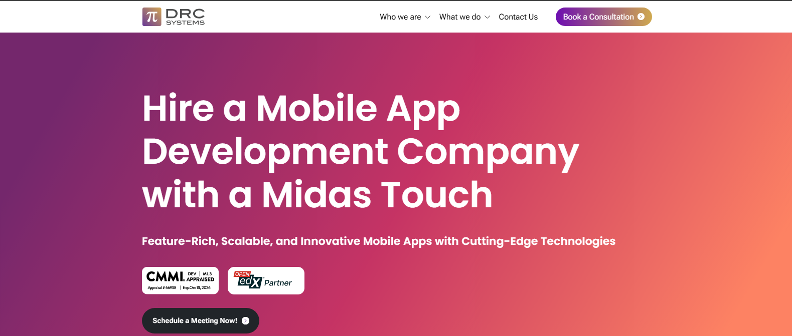 Mobile App Development 